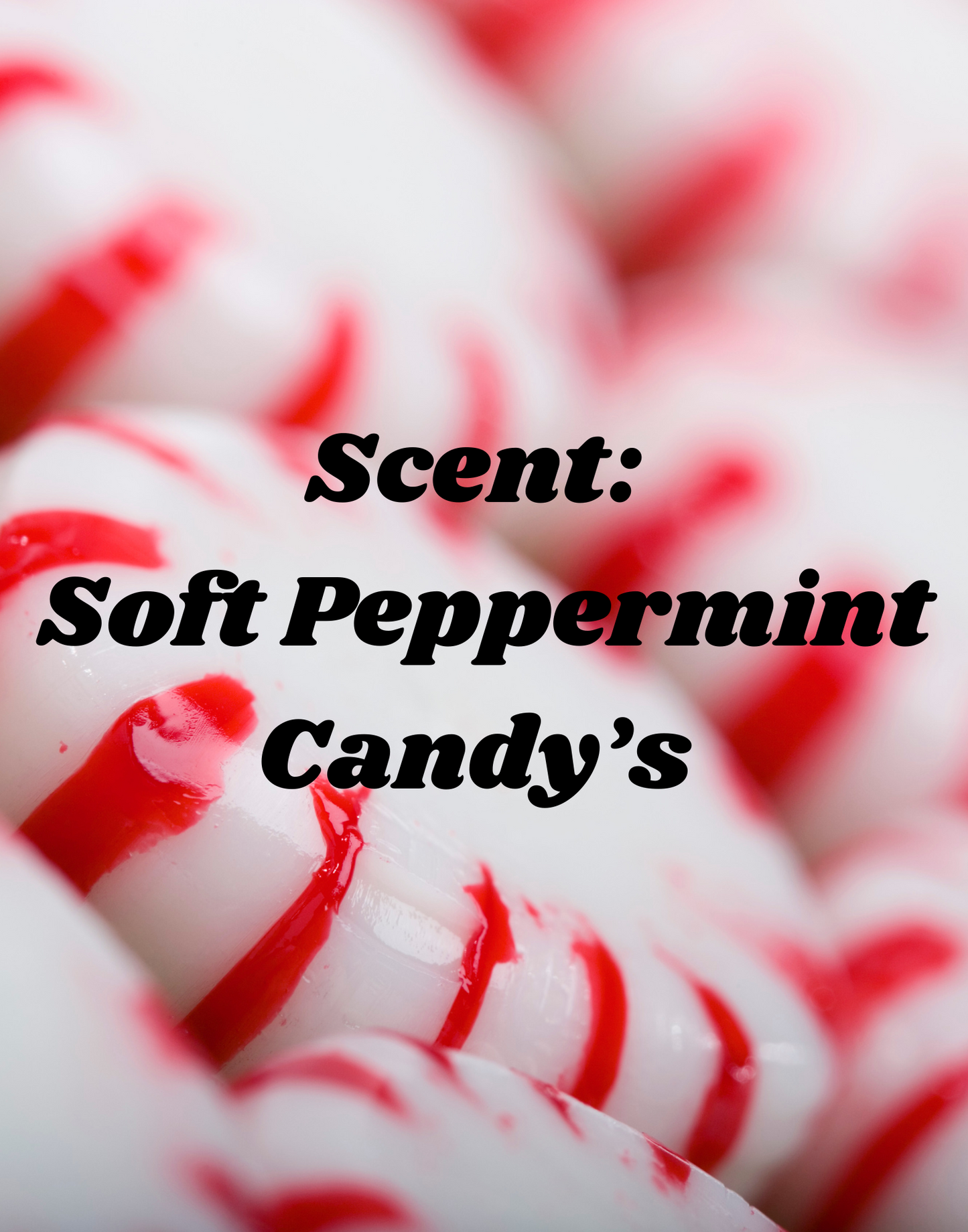 Buckskin Christmas Pony Freshie