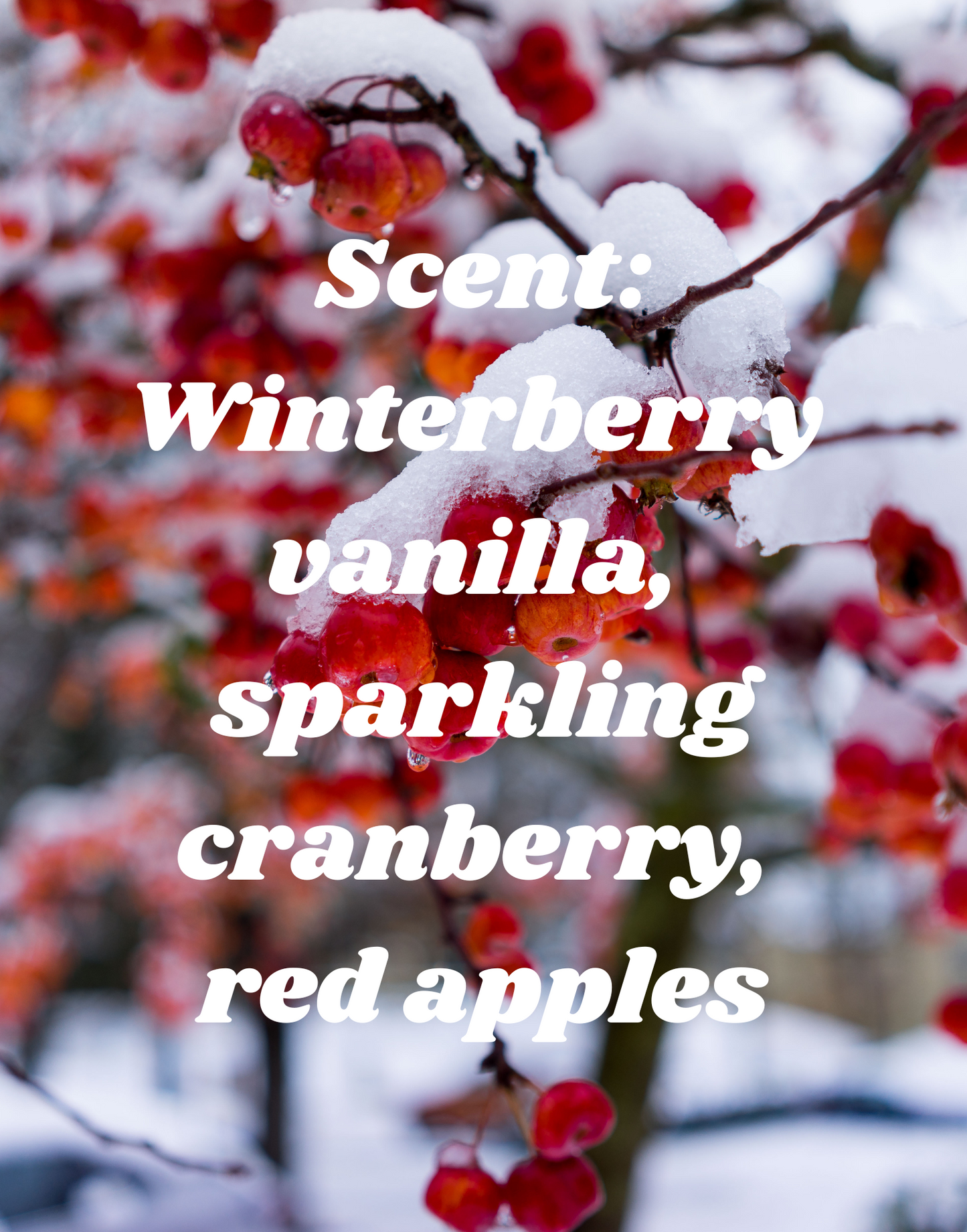 White Christmas Pony Freshie